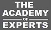 Member of the Academy of Experts